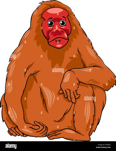 Uakari monkey amazon hi-res stock photography and images - Alamy