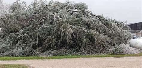 ICE-NADO 2023: Aftermath - Gabriel Valley Farms