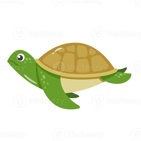 Cute turtle cartoon 24815647 PNG