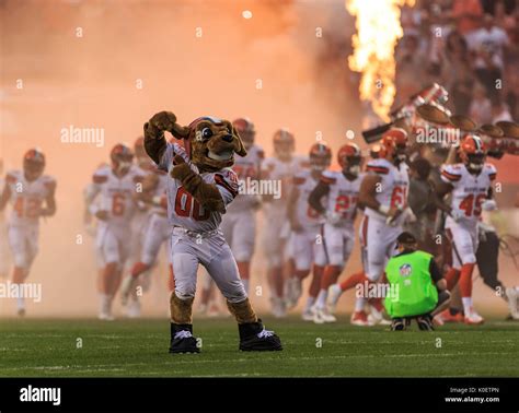 August 21, 2017: Cleveland Browns Mascot ''CHOMPS'' performs during the NFL football game ...