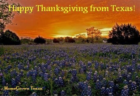 Happy Thanksgiving! | Texas in all it's splendor | Pinterest