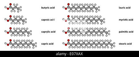 Capric acid molecule Stock Photo - Alamy