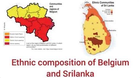 power sharing Belgium and sri lanka flowchart - Brainly.in