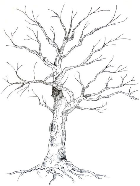 Guestbook Tree - Anne Herbst | Tree drawing, Tree illustration, Tree ...