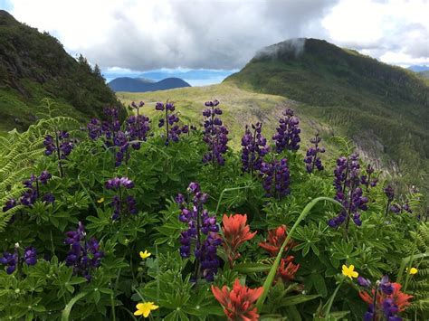 Ketchikan Misty Fjords Ranger District Office – public lands offices ...