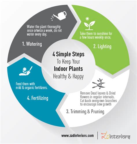 How to Take Care of Your Indoor Plants? | ZAD Interiors