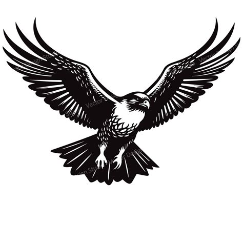 Falcon Flying SVG File Flying American Falcon Vector Images, Falcon Clipart SVG Image for Logo ...