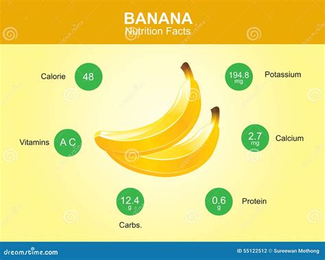 Banana Nutrition Facts, Banana Fruit with Information, Banana Vector ...