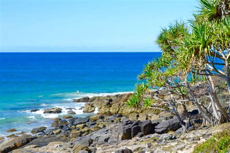 Noosa National Park - Australian