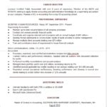 Resume Templates Google Docs Reddit (2) - PROFESSIONAL TEMPLATES | PROFESSIONAL TEMPLATES