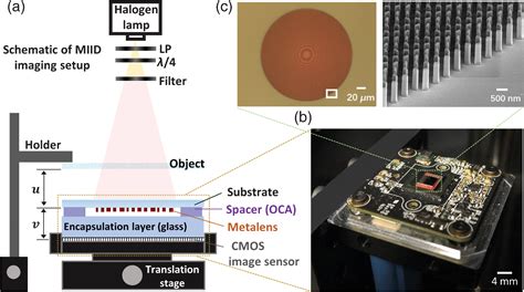 Metalens-integrated compact imaging devices for wide-field microscopy