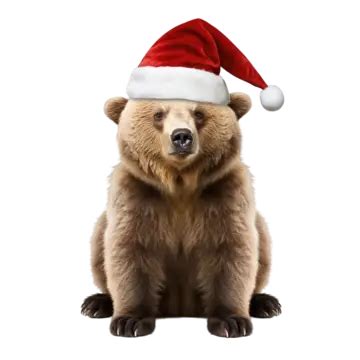 Brown Bear With Red Christmas Hat, Bear With Red Christmas Hat, Brown ...