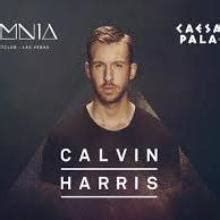 Calvin Harris Albums > Calvin Harris | @connor | MrOwl