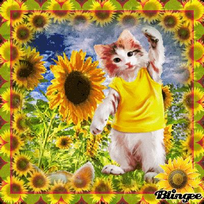 ☀Cat with Sunflowers☀ Picture #137363294 | Blingee.com