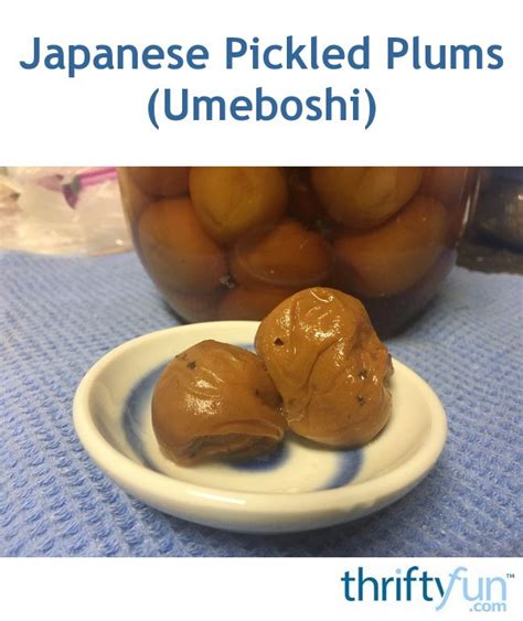 Japanese Pickled Plums (Umeboshi) | ThriftyFun