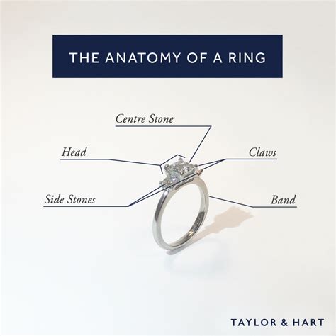 The anatomy of a ring