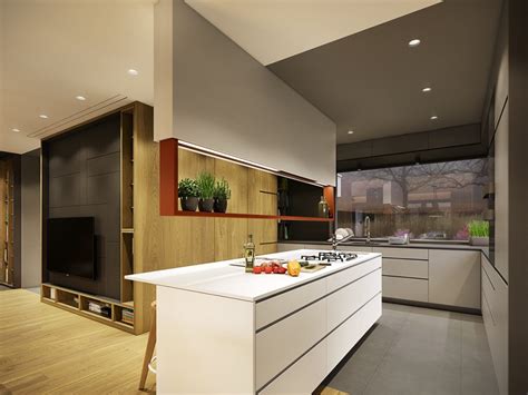 Variety of Minimalist Kitchen Designs and The Best Tips How To Arrange ...