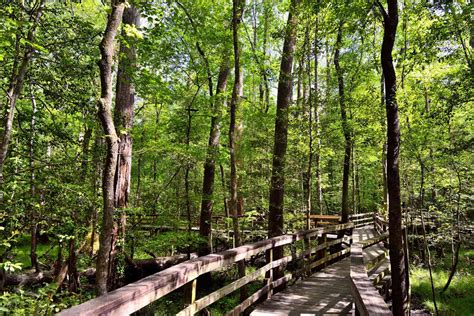 10 Wheelchair-accessible National Park Trails in the U.S.