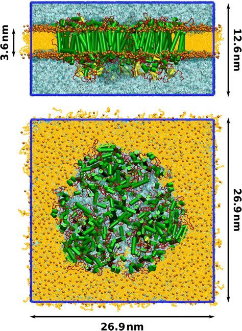 Thermal site energy fluctuations in photosystem I: new insights from MD/QM/MM calculations ...