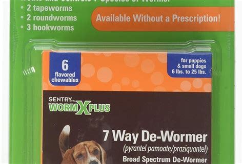 Worms in Dogs: Diagnosis, Prevention, and Treatment