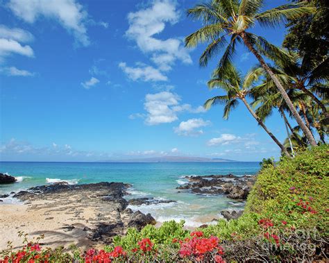 Tropical Beach Hawaii Photograph by Mike Swiet - Fine Art America