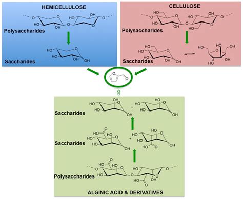 Frontiers | Hydrolysis of Hemicellulose and Derivatives—A Review of Recent Advances in the ...