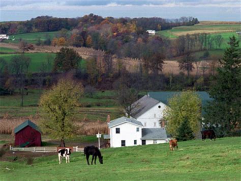 Inside Amish life