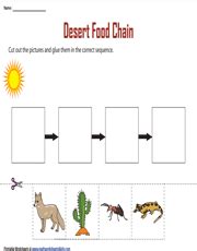 Food Web Diagram Template