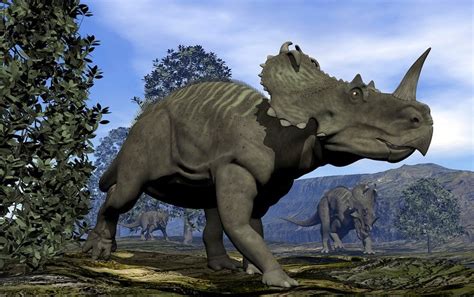 Possible Dinosaur DNA Has Been Found - Scientific American