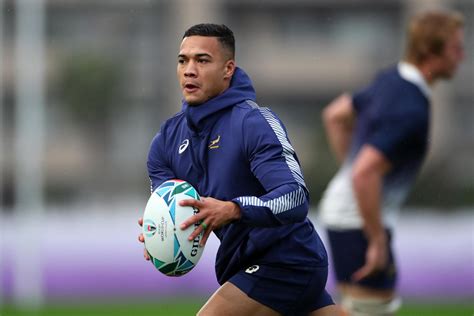 England vs South Africa: Cheslin Kolbe will be fit for the Rugby World Cup final, insists Rassie ...