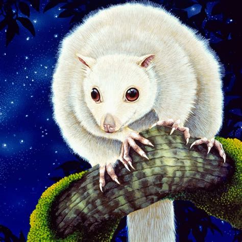 White Lemuroid Possum - Gift Card | David H Stacey Art Gallery