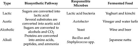 Classification of the major types of fermentation related to food... | Download Scientific Diagram