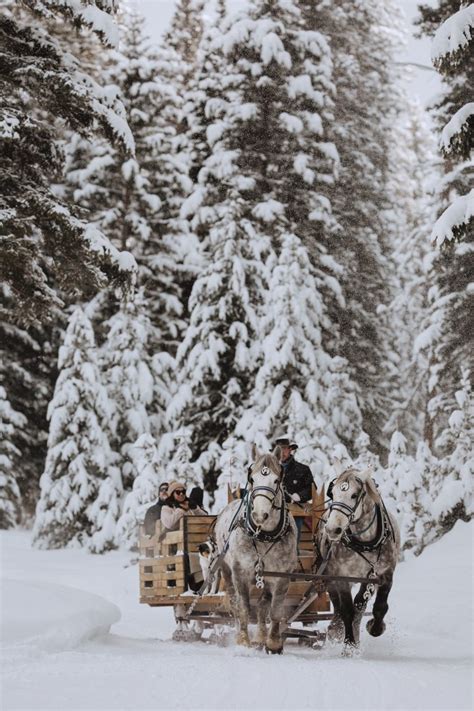 Winter Discovery | Lone Mountain Ranch