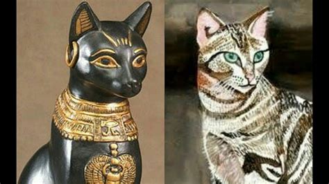 Il gatto nell’antico Egitto – VitAntica