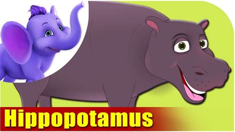 31+ How Do You Spell Hippopotamus - ParizadConli