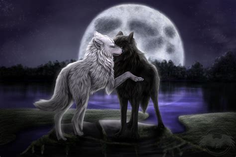 Werewolf Anime Wallpapers - Wallpaper Cave