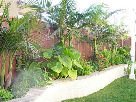 Pin by Elle Bee on Backyards / Outdoor Spaces | Tropical garden design, Tropical backyard ...