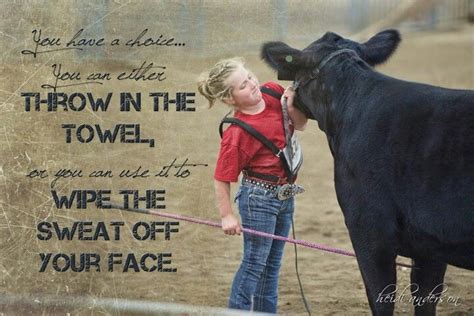 Cow Showing Quotes. QuotesGram