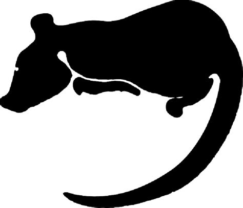 Clip art Vector graphics Silhouette Free content Rat - png download ...