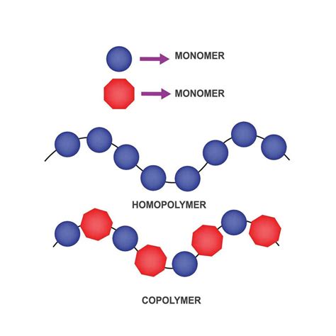 HOMOPOLYMER AND COPOLYMER VECTOR ILLUSTRATION 27798548 Vector Art at ...