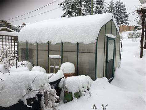 Greenhouse Tips and Tricks: Get the best Advice Here - Donna Balzer