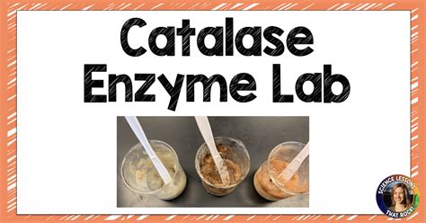 Catalase Enzyme Lab