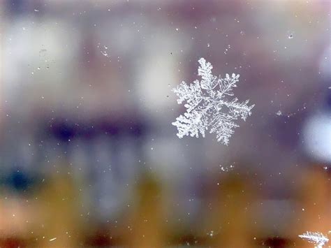 20 Majestic Close-Up Pictures of Snowflakes - The Photo Argus