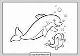 Cute Dolphin Coloring Page Free Printable Pages sketch template