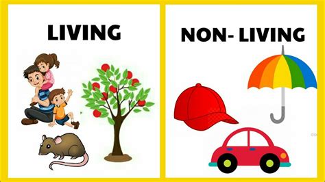 living things and nonliving things | Living and non living things for kids | Living and non ...