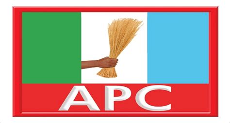 APC's Ibrahim Lamido wins Sokoto East Senate seat