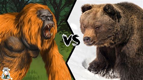 Gigantopithecus vs Grizzly Bear - Who Would Have Won Such a Battle ...