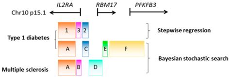 Genes | Free Full-Text | Unravelling the Roles of Susceptibility Loci for Autoimmune Diseases in ...