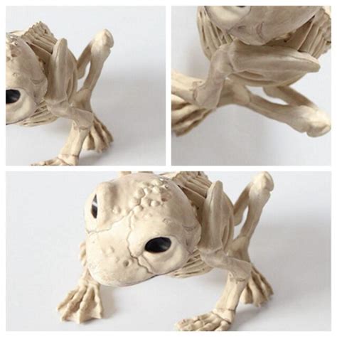 Horror Halloween Animal Frog Skeleton Bone Prop Party Home Garden Decor ...