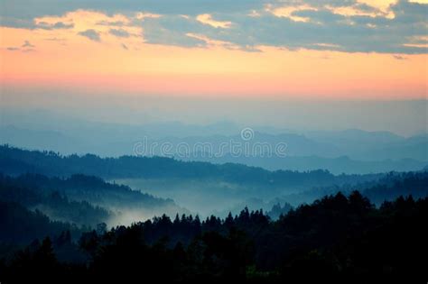 Misty Forest at Sunrise stock image. Image of feeling - 109246667